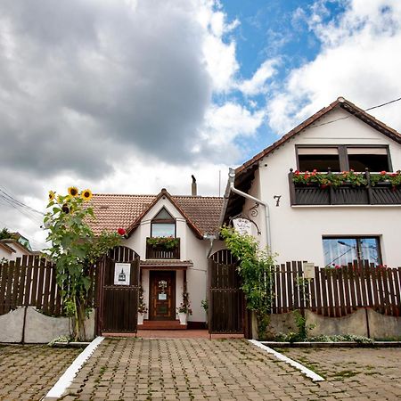 Panorama Guesthouse Sighişoara Exteriör bild